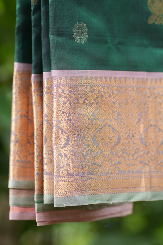 Kanchi Pattu