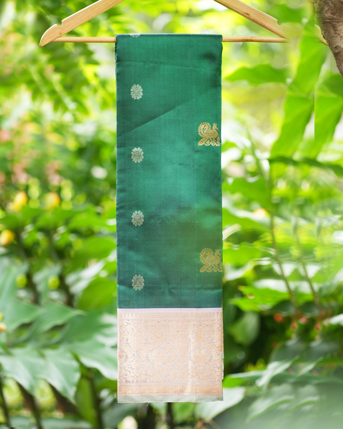 Kanchi Pattu