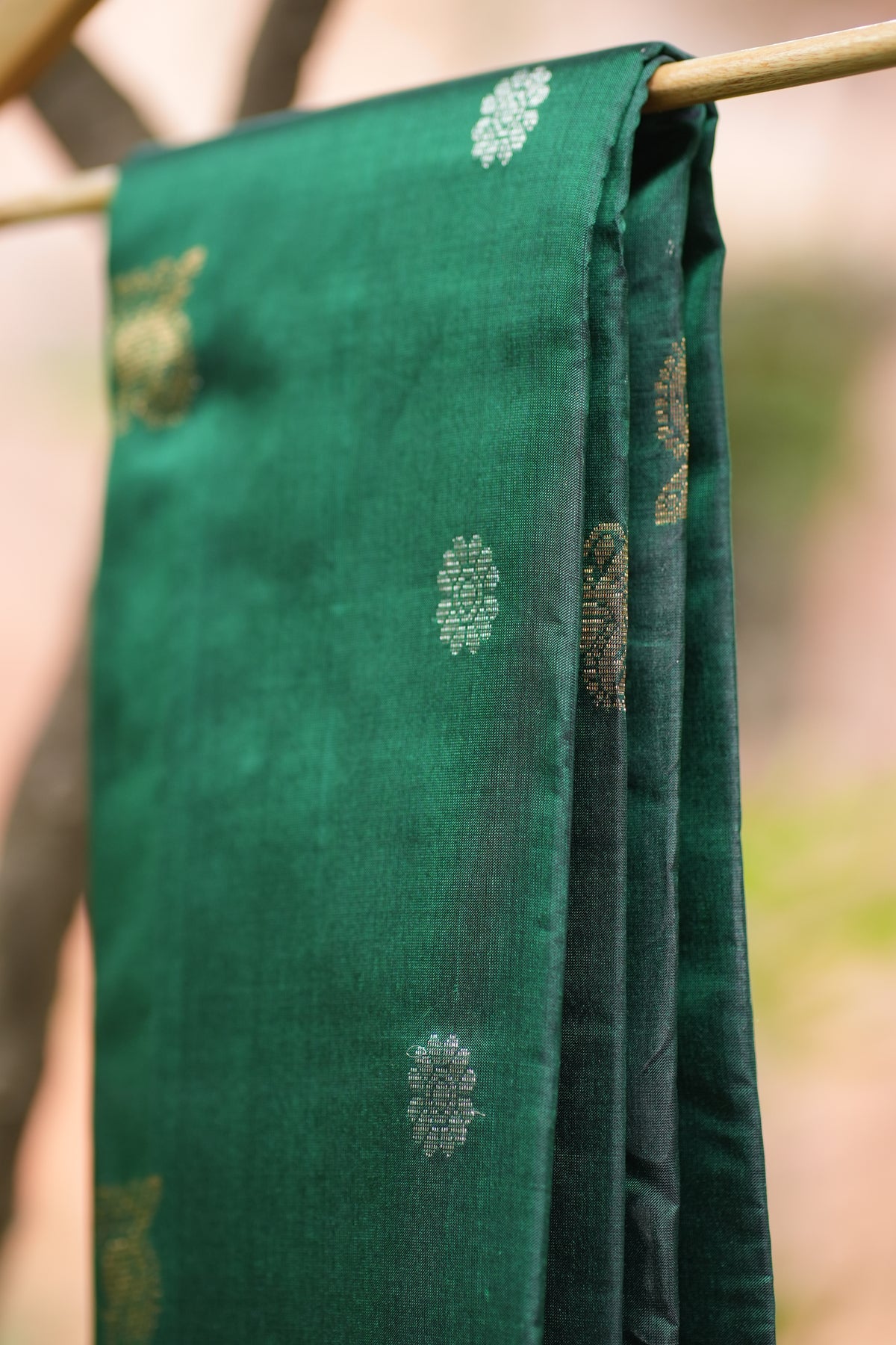 Kanchi Pattu